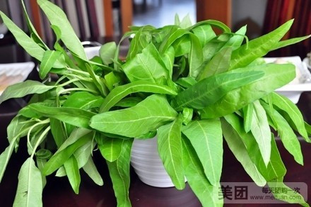 小肥羊（海晖大厦店）