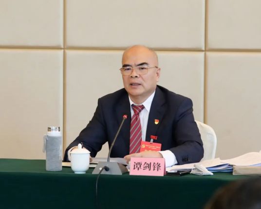 谭剑锋（广东省茂名市委委员、电白区委书记）