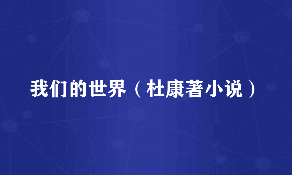 我们的世界（杜康著小说）