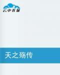 天之殇传
