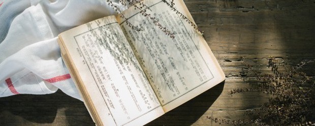 关于植物的现代诗歌