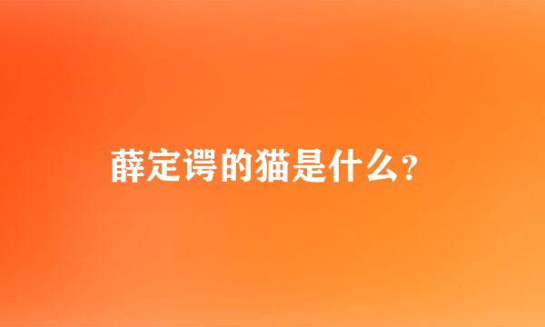 薛定谔的猫是什么？