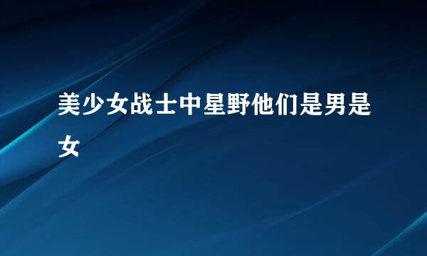 美少女战士中星野他们是男是女