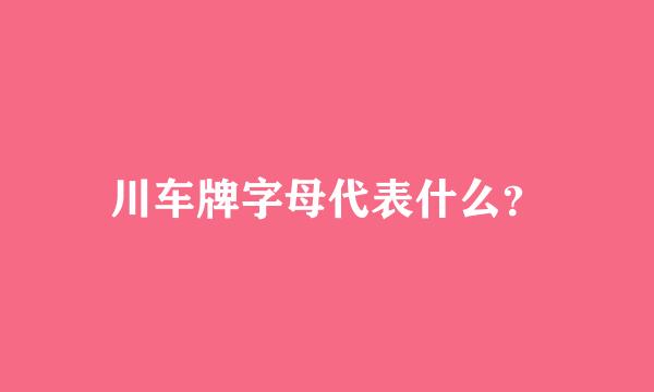 川车牌字母代表什么？