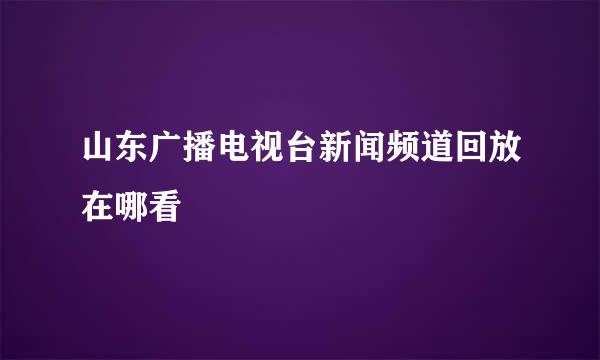 山东广播电视台新闻频道回放在哪看