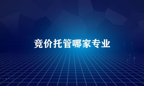 竞价托管哪家专业