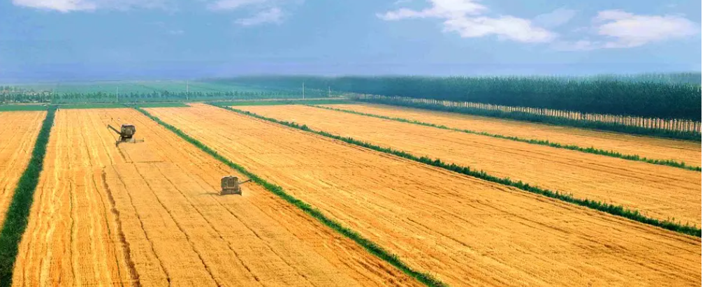 全国土地日是几月几日