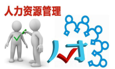 在职场中，HR是什么职位？