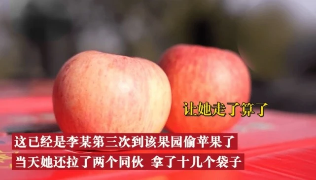 山东女子带亲友们开车10公里偷苹果，被抓后不以为然，她会受到什么处罚？