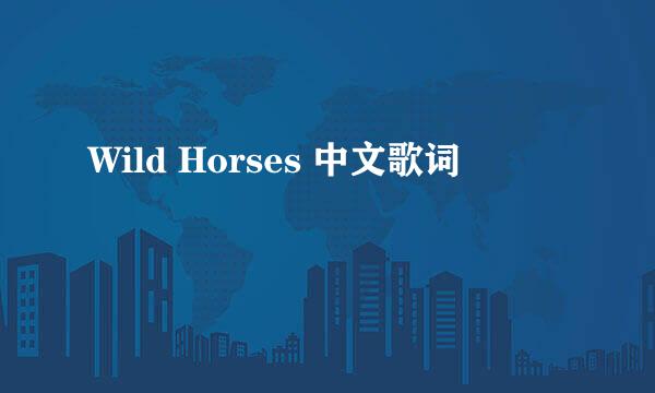 Wild Horses 中文歌词