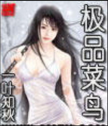 《极品菜鸟》txt全集下载