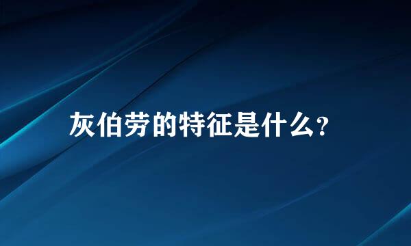 灰伯劳的特征是什么？