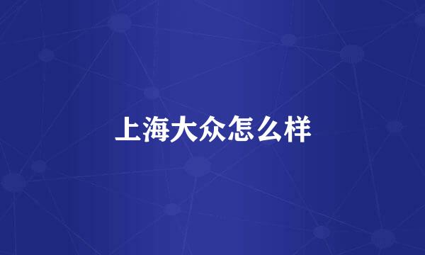 上海大众怎么样