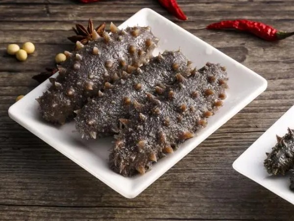 好的海参如何辨别