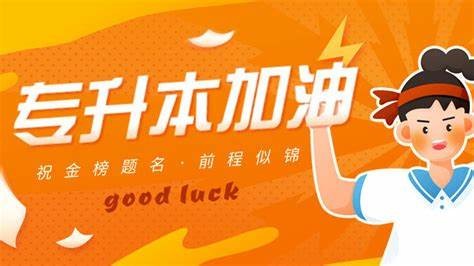 法律系专升本考什么