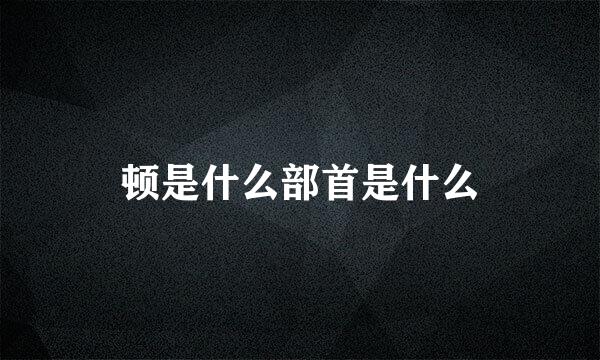 顿是什么部首是什么