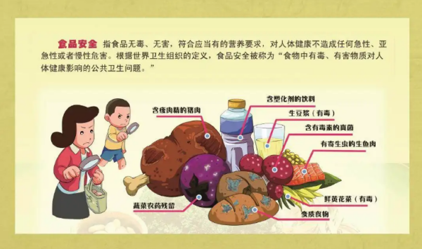 食品安全来自知识宣传内容