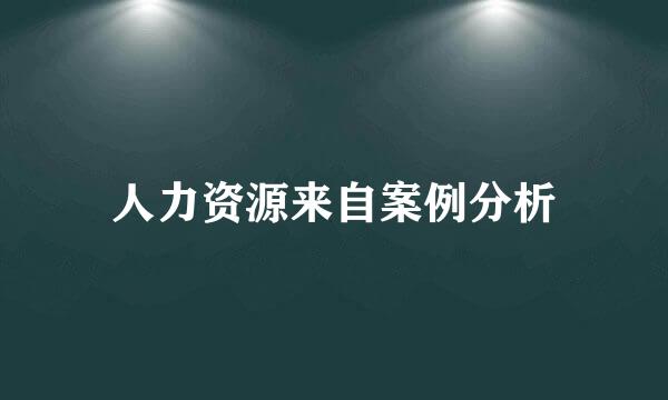 人力资源来自案例分析
