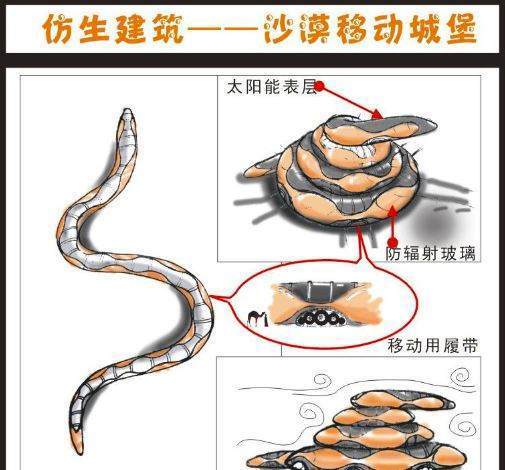 科学家从哪些动来自物身上得到了启示发明了什么