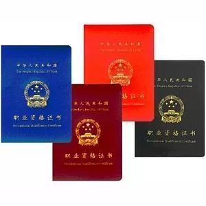 职业资格怎么填?