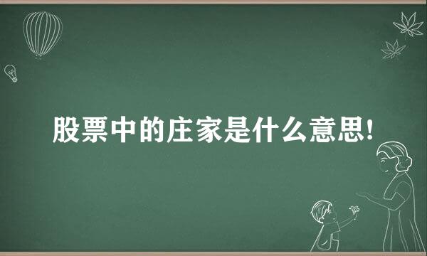 股票中的庄家是什么意思!