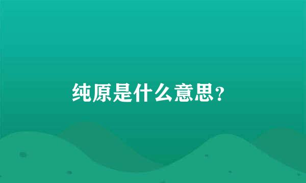 纯原是什么意思？