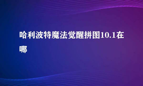哈利波特魔法觉醒拼图10.1在哪