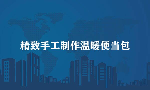 精致手工制作温暖便当包