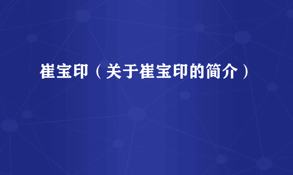 崔宝印（关于崔宝印的简介）