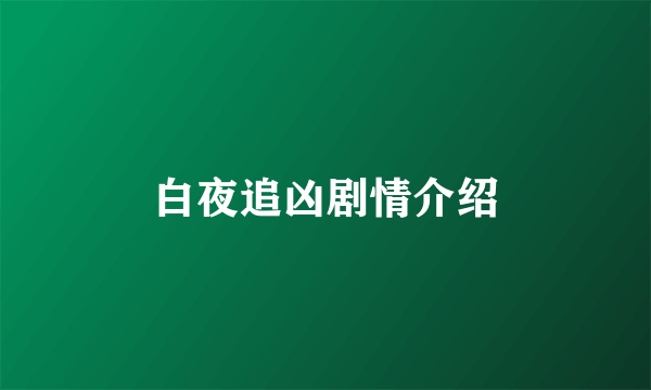 白夜追凶剧情介绍
