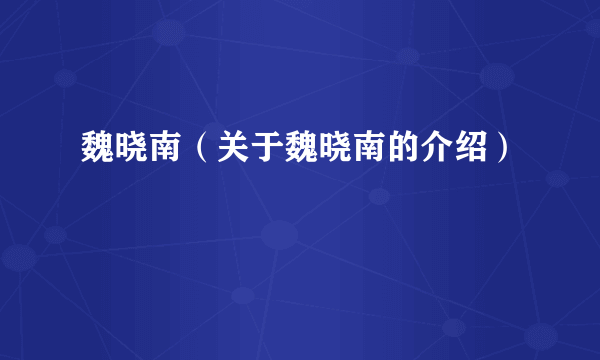 魏晓南（关于魏晓南的介绍）
