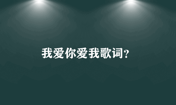 我爱你爱我歌词？