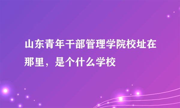 山东青年干部管理学院校址在那里，是个什么学校
