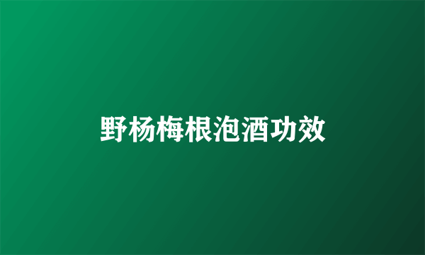 野杨梅根泡酒功效