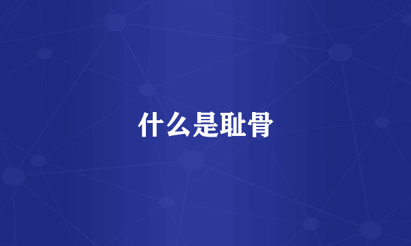 什么是耻骨