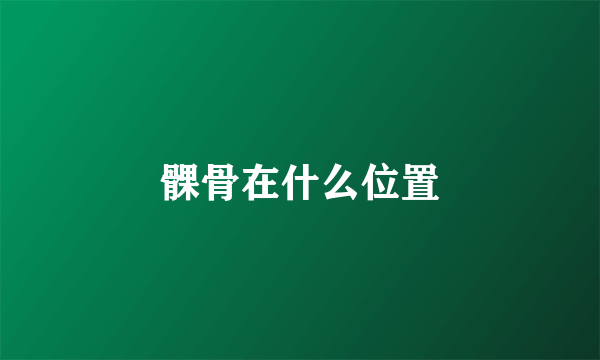髁骨在什么位置