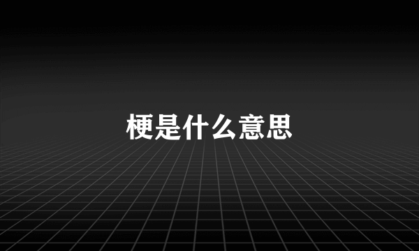 梗是什么意思