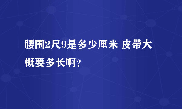 腰围2尺9是多少厘米 皮带大概要多长啊？