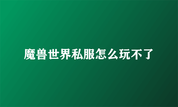 魔兽世界私服怎么玩不了