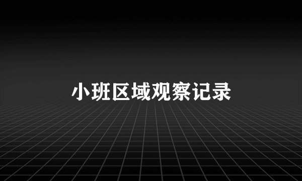 小班区域观察记录