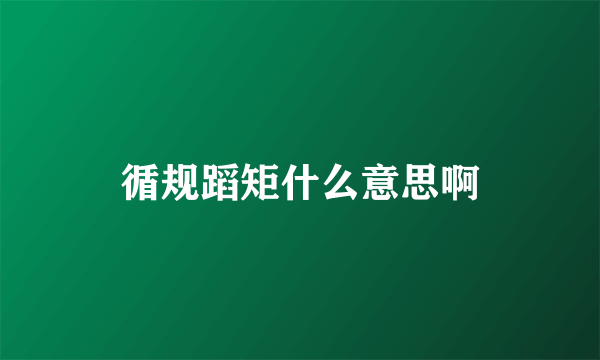 循规蹈矩什么意思啊