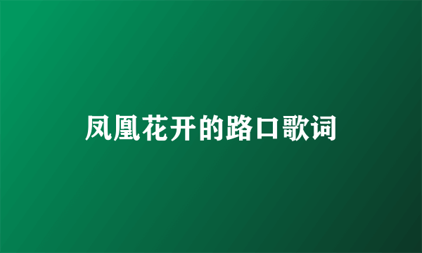 凤凰花开的路口歌词