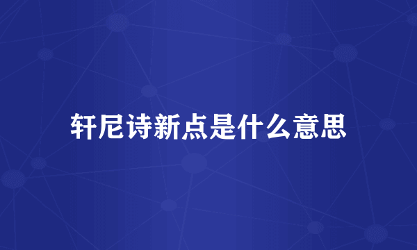 轩尼诗新点是什么意思