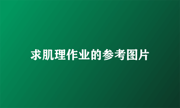 求肌理作业的参考图片