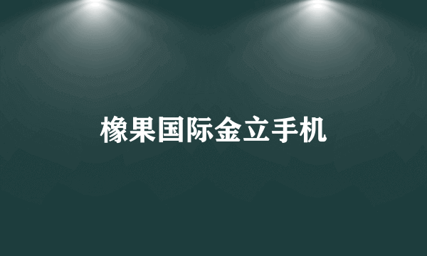 橡果国际金立手机