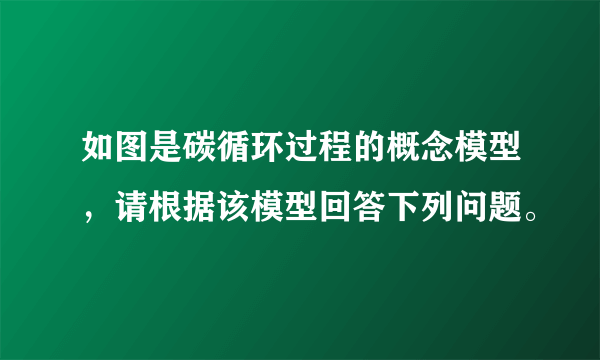 如图是碳循环过程的概念模型,请根据该模型回答下列问题。