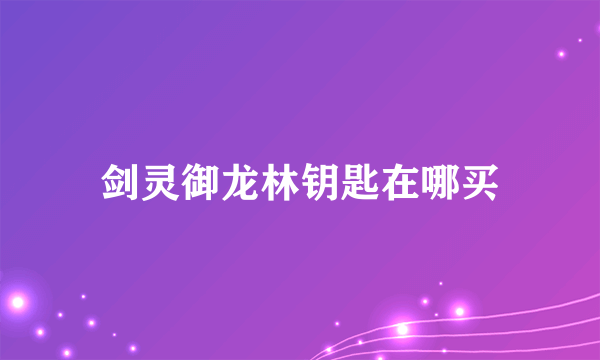 剑灵御龙林钥匙在哪买