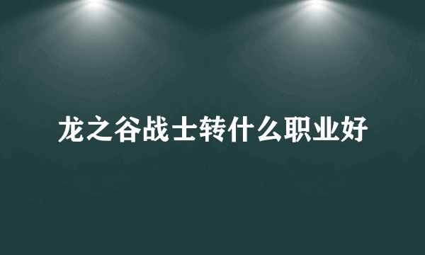 龙之谷战士转什么职业好