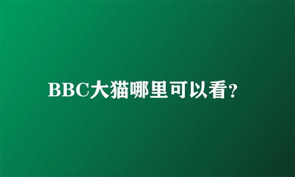 BBC大猫哪里可以看？