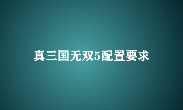 真三国无双5配置要求